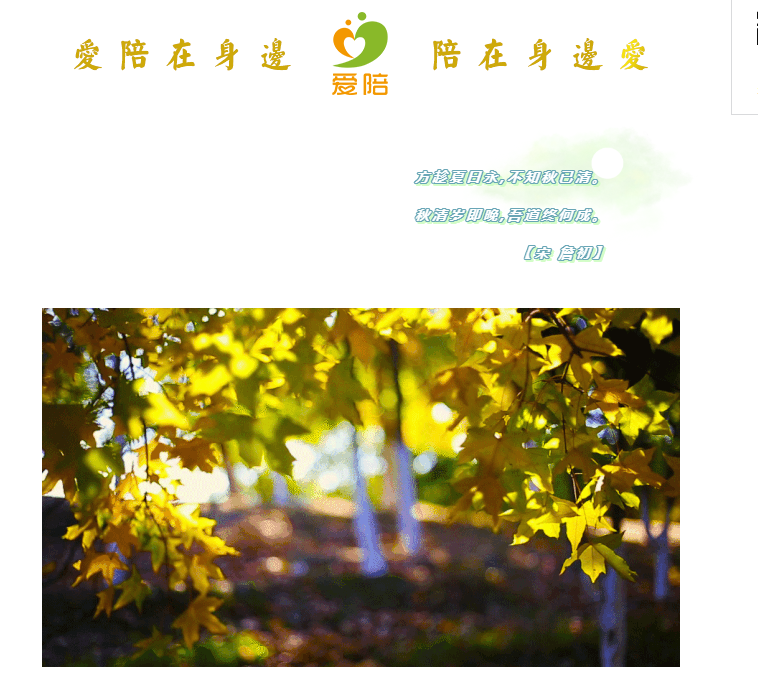 秋清歲即晚，吾道終何成？--共享陪護床為何而生